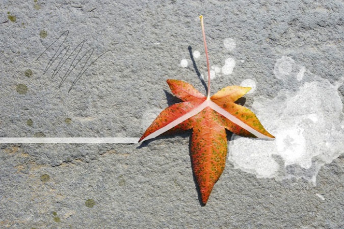 Autumn Sweet Gum Leaf [orange with green spots], 2010